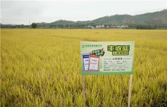 土壤墑情監(jiān)測系統(tǒng)的應用效果怎么樣？