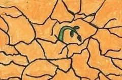 土壤墑情監測儀功能介紹