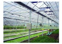 土壤墑情監測系統可以指導溫室灌溉嗎