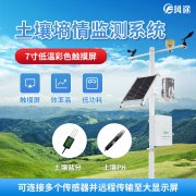 土壤墑情好，夏玉米長勢普遍好